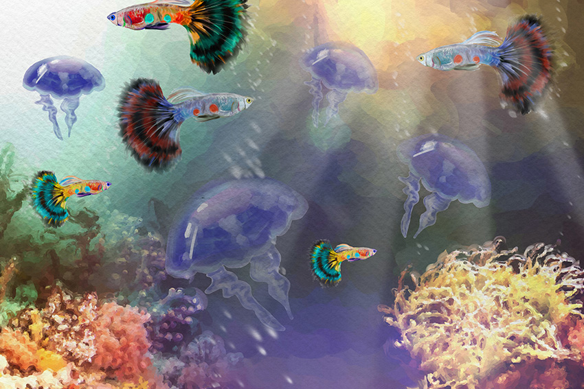 Aquatic illustration low resolution by Ingrid Alexandra